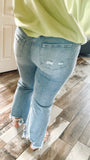 Holy Moly Distressed Cropped Jeans