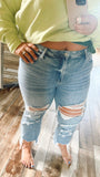 Holy Moly Distressed Cropped Jeans