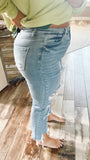 Holy Moly Distressed Cropped Jeans