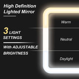 PREORDER- LED Light/Mirror Cosmetic Bag