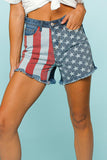 Party in the USA Shorts