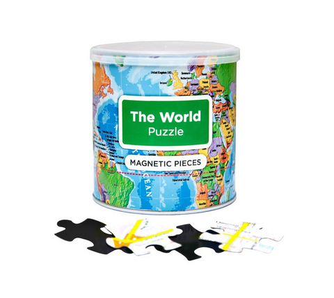 The World Magnetic Puzzle