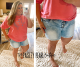 So Fly Denim Shorts