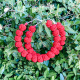 Red Knot Hoop Earrings